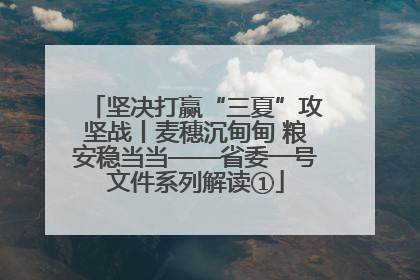 坚决打赢“三夏”攻坚战丨麦穗沉甸甸 粮安稳当当——省委一号文件系列解读①