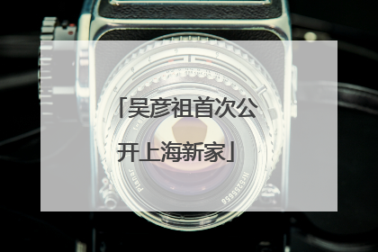 吴彦祖首次公开上海新家