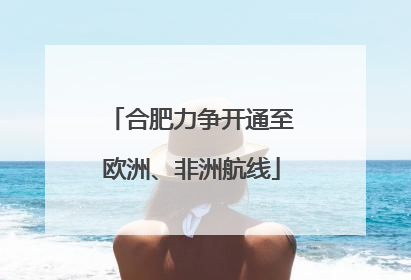 合肥力争开通至欧洲、非洲航线