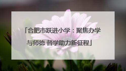 合肥市跃进小学：聚焦办学与师德 督学助力新征程