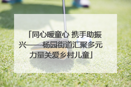 同心暖童心 携手助振兴——杨园街道汇聚多元力量关爱乡村儿童