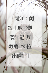 同江：闲置土地“逆袭”记 万寿菊“C位出道”