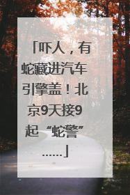 吓人，有蛇藏进汽车引擎盖！北京9天接9起“蛇警”……
