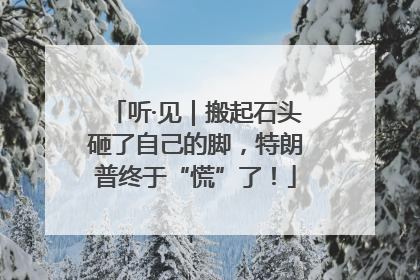 听·见｜搬起石头砸了自己的脚，特朗普终于“慌”了！