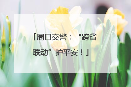 周口交警：“跨省联动”护平安！