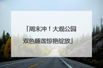 周末冲！大观公园双色睡莲惊艳绽放