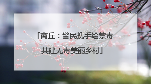 商丘：警民携手绘禁毒 共建无毒美丽乡村