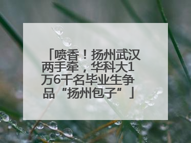 喷香！扬州武汉两手牵，华科大1万6千名毕业生争品“扬州包子”
