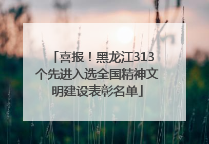 喜报！黑龙江313个先进入选全国精神文明建设表彰名单