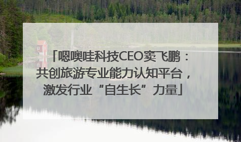 嗯噢哇科技CEO窦飞鹏：共创旅游专业能力认知平台，激发行业“自生长”力量