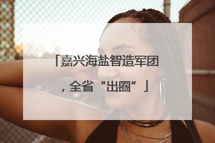 嘉兴海盐智造军团，全省“出圈”