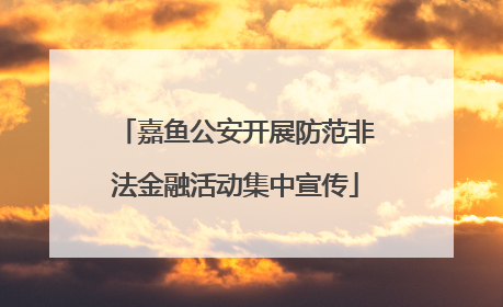 嘉鱼公安开展防范非法金融活动集中宣传