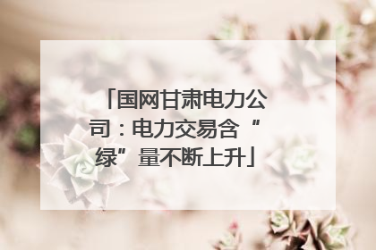 国网甘肃电力公司：电力交易含“绿”量不断上升