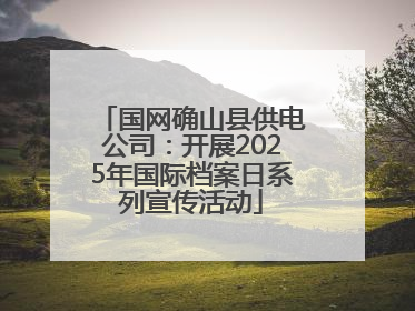 国网确山县供电公司：开展2025年国际档案日系列宣传活动