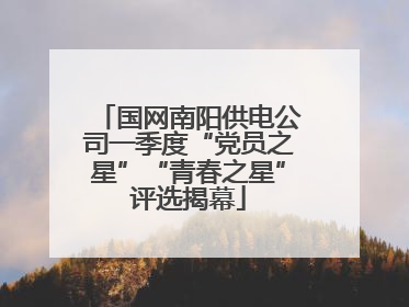 国网南阳供电公司一季度“党员之星”“青春之星”评选揭幕