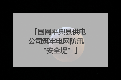国网平舆县供电公司筑牢电网防汛“安全堤”