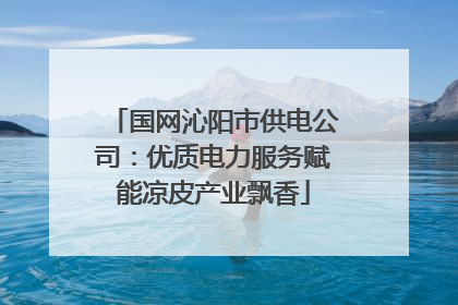 国网沁阳市供电公司：优质电力服务赋能凉皮产业飘香