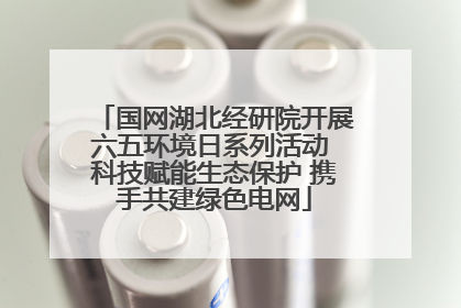 国网湖北经研院开展六五环境日系列活动 科技赋能生态保护 携手共建绿色电网