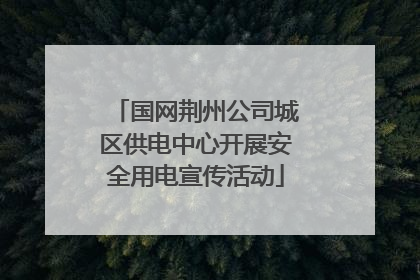国网荆州公司城区供电中心开展安全用电宣传活动