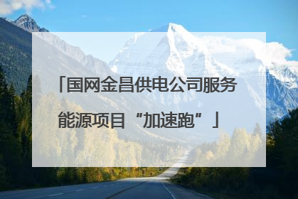 国网金昌供电公司服务能源项目“加速跑”
