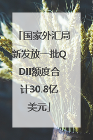 国家外汇局新发放一批QDII额度合计30.8亿美元