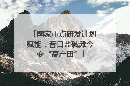 国家重点研发计划赋能，昔日盐碱滩今变“高产田”