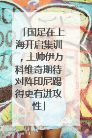 国足在上海开启集训，主帅伊万科维奇期待对阵印尼踢得更有进攻性