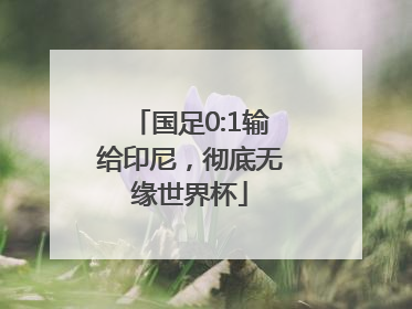 国足0:1输给印尼，彻底无缘世界杯