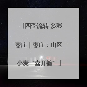 四季流转 多彩枣庄｜枣庄：山区小麦“喜开镰”