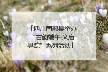 四川南部县举办“古韵端午·文庙寻踪”系列活动