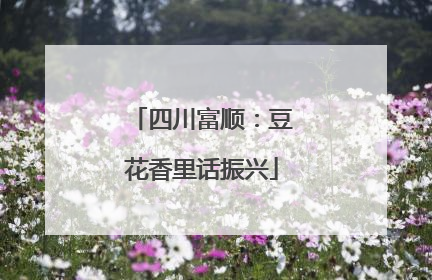四川富顺：豆花香里话振兴
