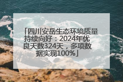 四川安岳生态环境质量持续向好：2024年优良天数324天，多项数据实现100%