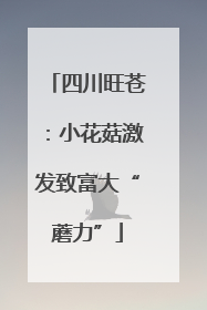 四川旺苍：小花菇激发致富大“蘑力”