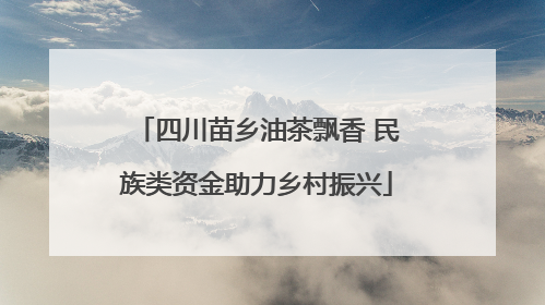 四川苗乡油茶飘香 民族类资金助力乡村振兴