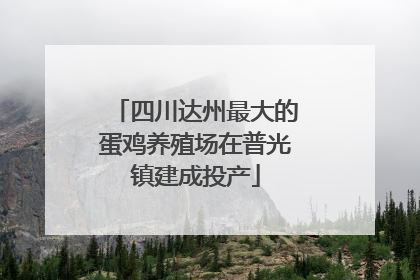 四川达州最大的蛋鸡养殖场在普光镇建成投产