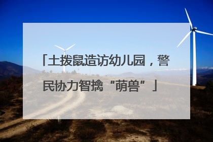 土拨鼠造访幼儿园，警民协力智擒“萌兽”