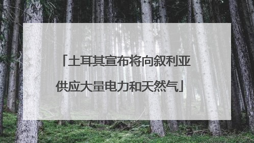 土耳其宣布将向叙利亚供应大量电力和天然气
