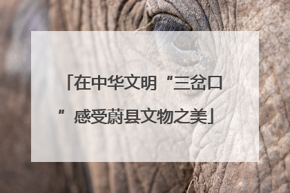 在中华文明“三岔口”感受蔚县文物之美