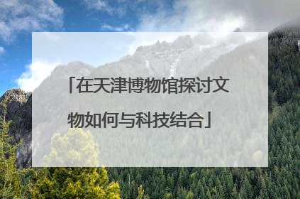 在天津博物馆探讨文物如何与科技结合