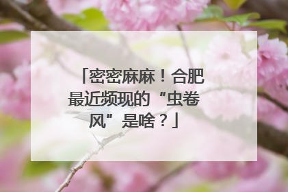 密密麻麻！合肥最近频现的“虫卷风”是啥？