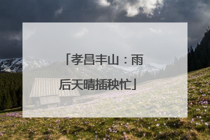 孝昌丰山：雨后天晴插秧忙