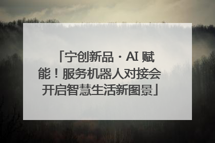 宁创新品・AI 赋能！服务机器人对接会开启智慧生活新图景