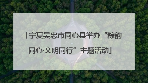宁夏吴忠市同心县举办“粽韵同心·文明同行”主题活动