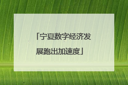 宁夏数字经济发展跑出加速度