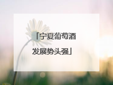 宁夏葡萄酒发展势头强
