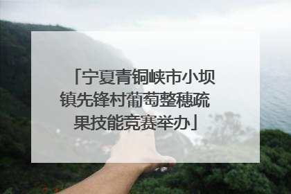 宁夏青铜峡市小坝镇先锋村葡萄整穗疏果技能竞赛举办