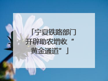 宁夏铁路部门开辟助农增收“黄金通道”