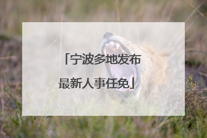宁波多地发布最新人事任免