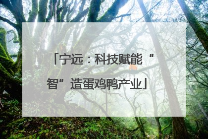 宁远：科技赋能“智”造蛋鸡鸭产业