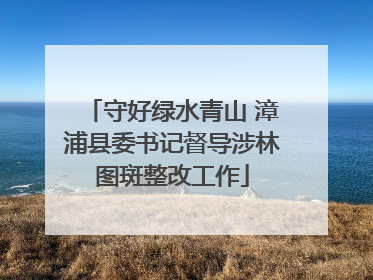 守好绿水青山 漳浦县委书记督导涉林图斑整改工作